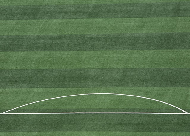 作為中文籃 作為中文籃