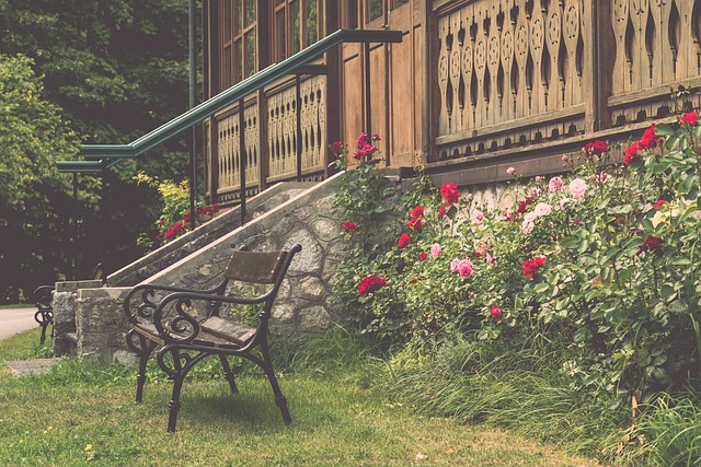 比赛中的关 比赛中的关