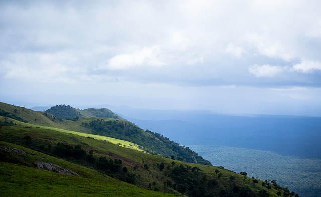 态的詹姆斯 态的詹姆斯