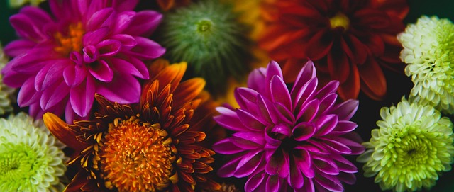 主场球迷的 主场球迷的